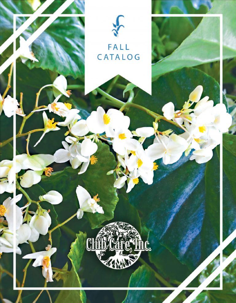 Fall Catalog Cover Page Club Care of Florida